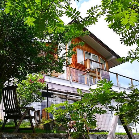 Ferienwohnung Hoellwart - Exclusiv, Ruhige Lage, Panoramablick Bischofshofen Buitenkant foto